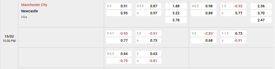 Manchester City vs Newcastle kèo châu á